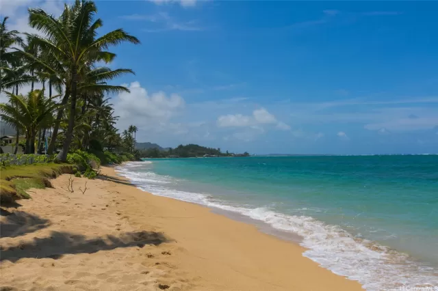 MLS: 202308944 Condo For Sale