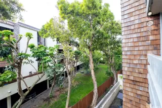 Photo #5: 202401376 Listing 