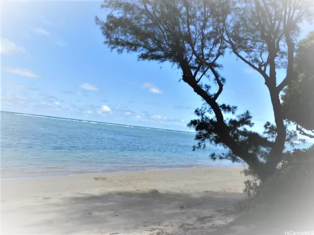 MLS: 202415172 Condo For Sale