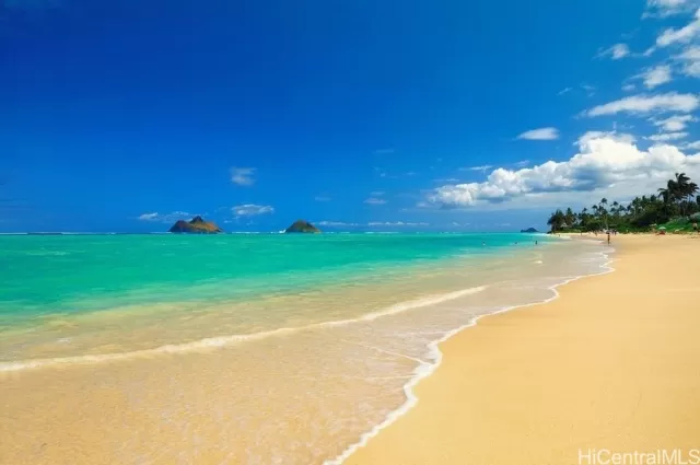 MLS: 202417653 Condo For Sale