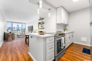 More Details about MLS # 202419306 : 1215 ALEXANDER STREET 1104