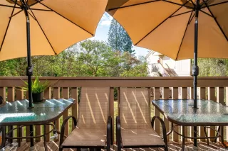 Photo #5: 202428949 Listing 