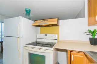 Photo #4: 202501943 Listing 