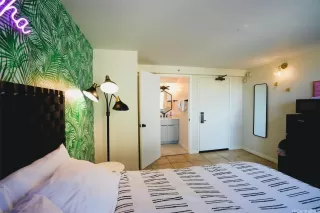 Photo #6: 202502518 Listing 