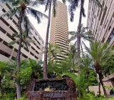 Primary Photo for MLS#: 202506005