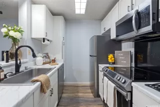 Photo #6: 202506334 Listing