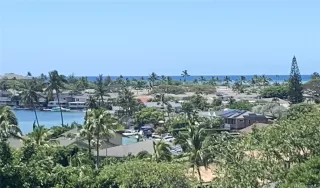 Photo #2: 202507294 Listing