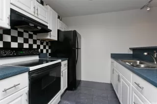 Photo #6: 202508067 Listing