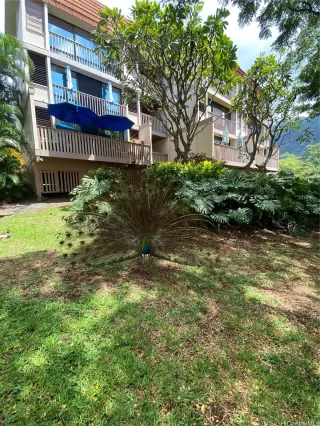 Photo #6: 202508124 Listing