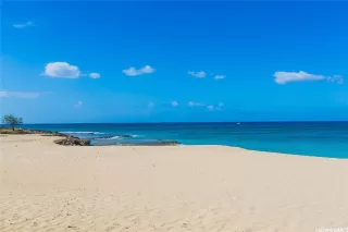 Photo #5: 202508130 Listing