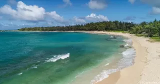 Photo #2: 202509497 Listing 