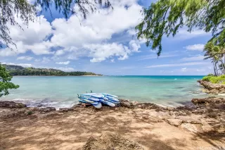 Photo #4: 202509497 Listing 