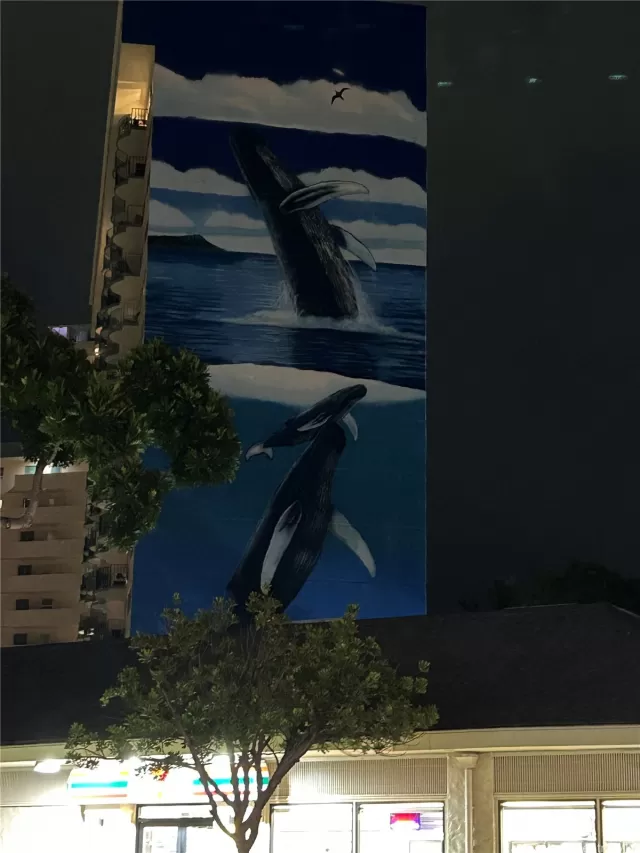 MLS: 202509690 Condo For Sale