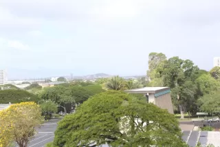 Primary Photo for MLS#: 202509790