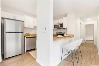 Photo #4: 202510545 Listing 