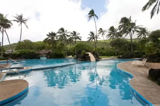 Photo #6: 202510594 Listing 