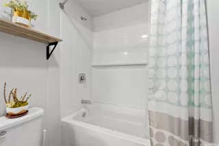 Photo #6: 202511126 Listing 