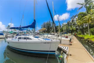 Photo #3: 202511469 Listing 