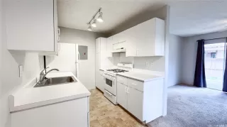 Photo #2: 202512025 Listing