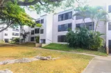 Primary Photo for MLS#: 202512859
