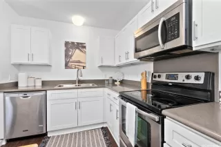 Photo #4: 202513028 Listing 