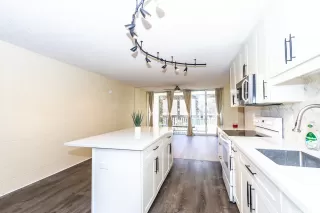 Photo #3: 202513061 Listing 