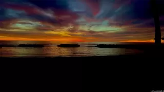 Photo #5: 202514329 Listing 