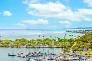 Photo #2: 202514668 Listing 