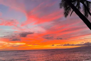 Photo #6: 202515119 Listing 