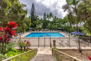 Photo #4: 202515802 Listing 