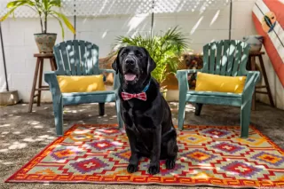 More Details about MLS # 202515952 : 3410 LEAHI AVENUE 101