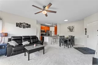 Browse active condo listings in SUN RISE