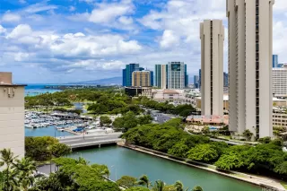 Photo #2: 202516704 Listing 