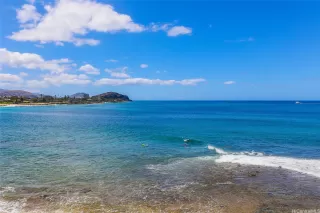 Photo #5: 202517003 Listing 