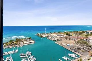 Primary Photo for MLS#: 202517498