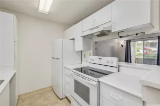 Photo #2: 202517846 Listing