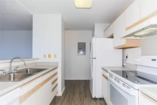 Photo #2: 202518579 Listing 