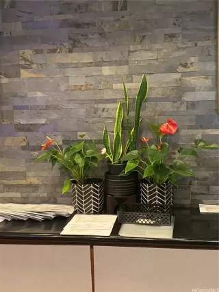 Photo #5: 202518635 Listing 