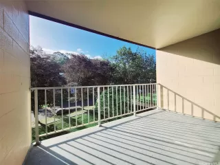 Photo #5: 202518665 Listing 