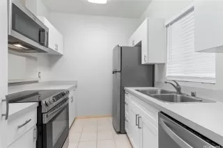 Photo #5: 202519468 Listing 