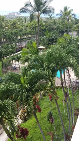 Photo #5: 202519588 Listing