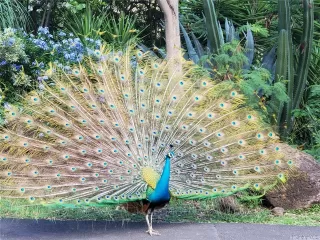 Photo #5: 202519624 Listing