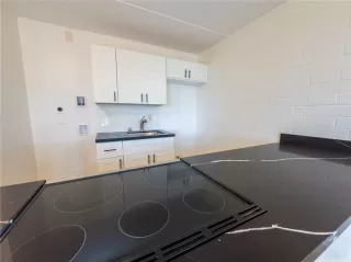 Photo #4: 202520153 Listing 