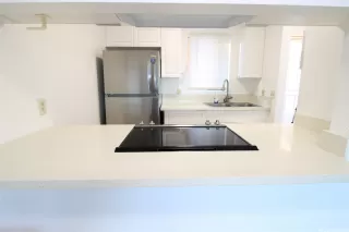 Photo #4: 202520466 Listing 