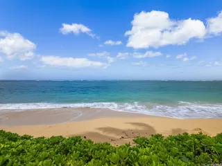 Photo #2: 202520546 Listing 