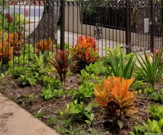 Primary Photo for MLS#: 202520884