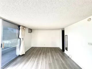 Photo #2: 202521141 Listing 