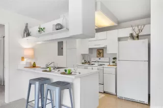 Photo #6: 202521185 Listing 