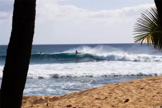 Photo #2: 202521228 Listing 