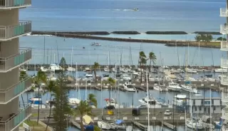 Photo #4: 202521291 Listing 